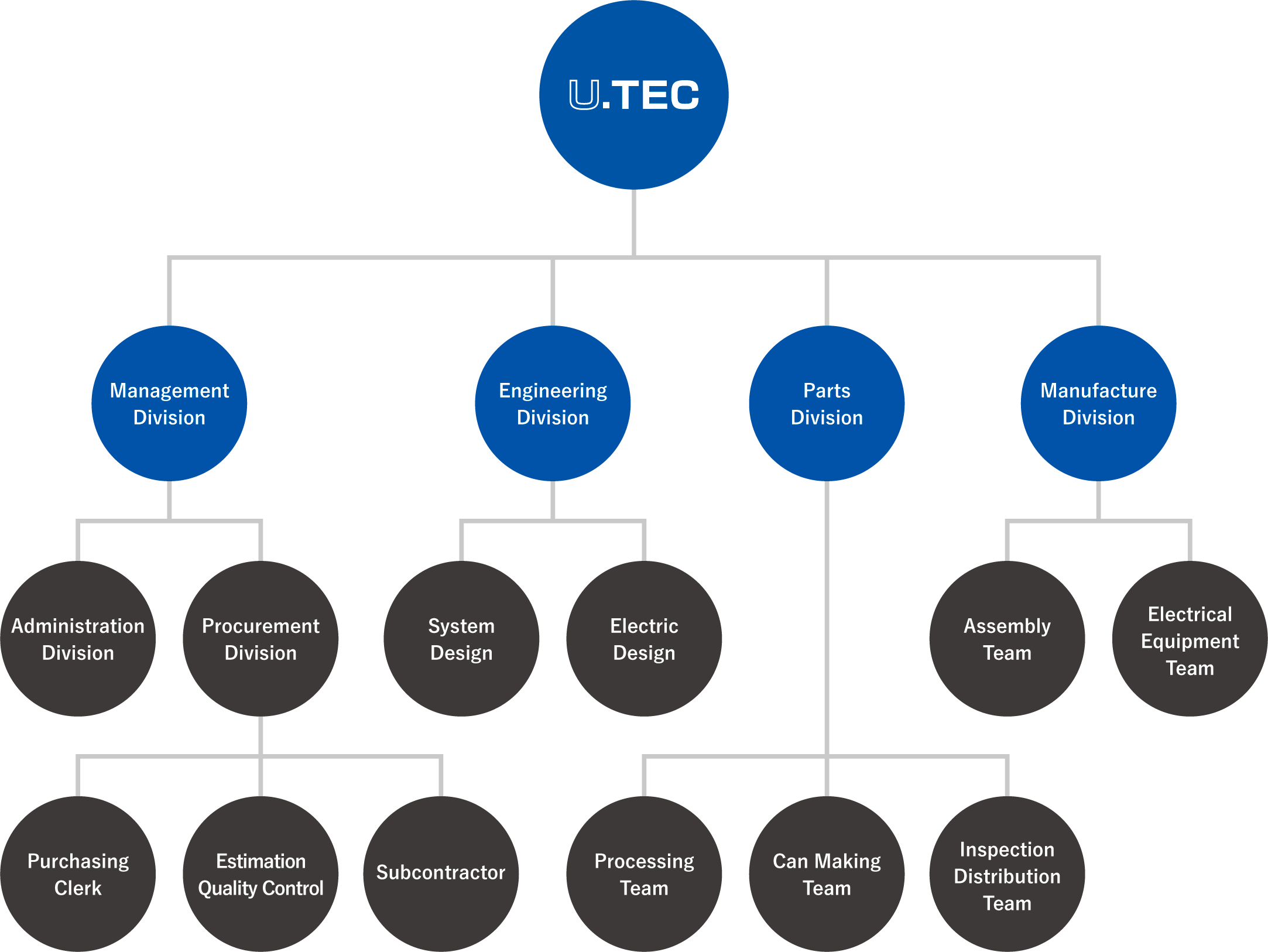 Company organization
